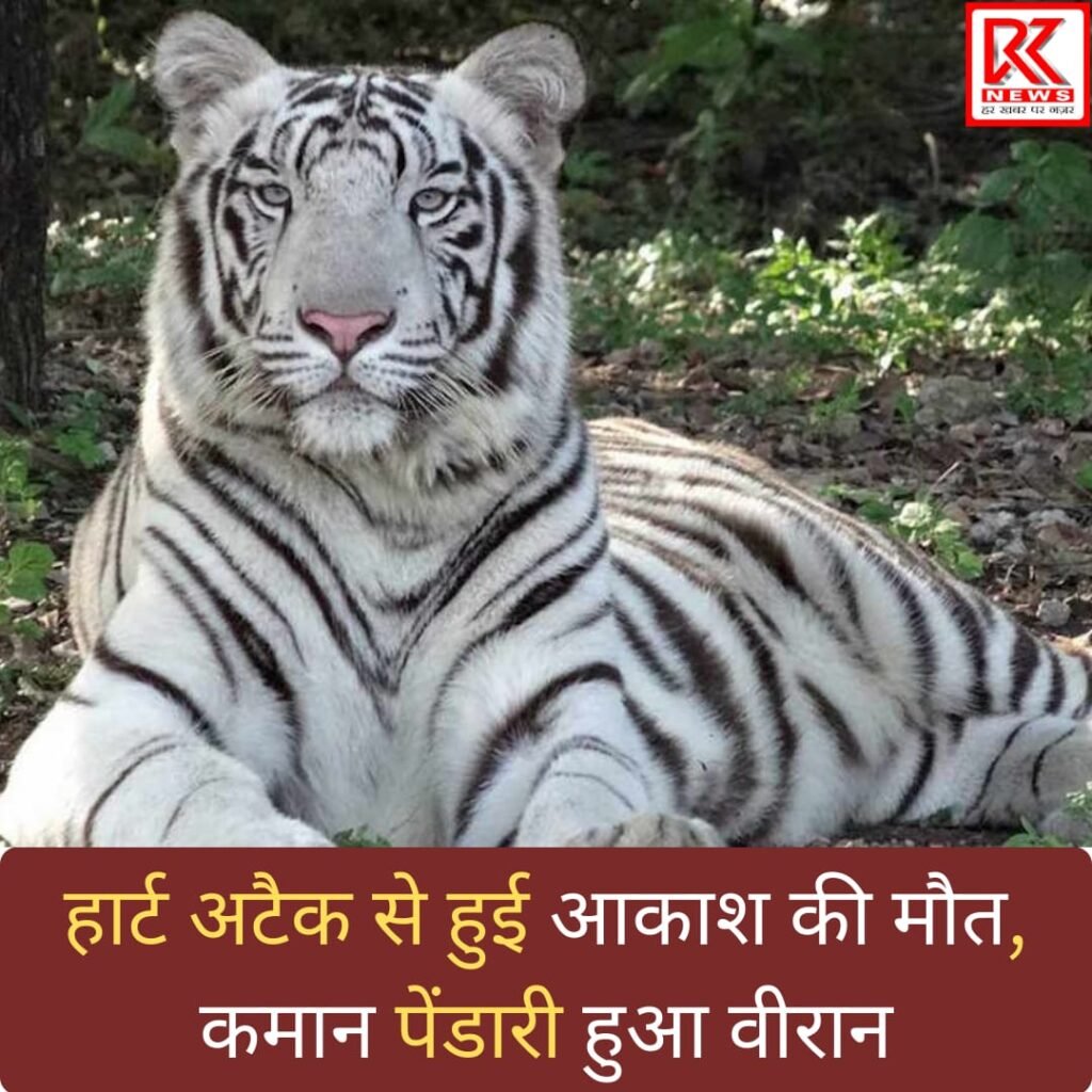 WhatsApp Image 2025-04-22 at 16.27.33(1)