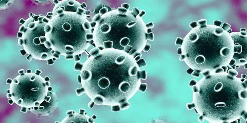 Corona-Virus-1024x512