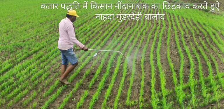 WhatsApp Image 2025-07-08 at 17.14.54