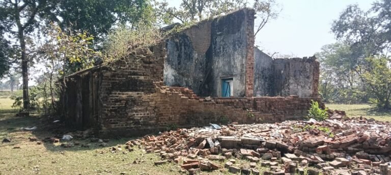 WhatsApp Image 2025-11-12 at 18.51.05