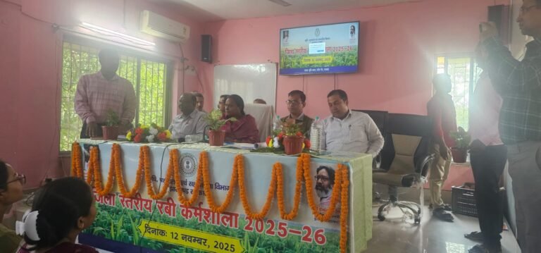 WhatsApp Image 2025-11-12 at 21.20.00